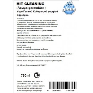 HIT CLEANING 750ml